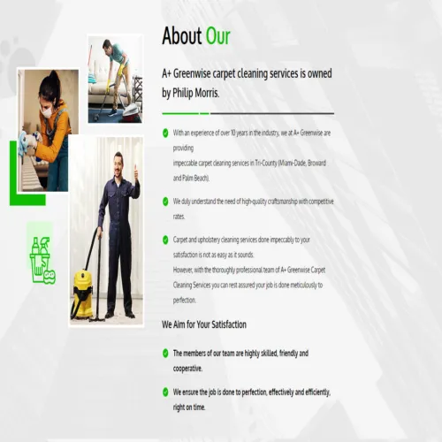 carpet 500x500.png 1